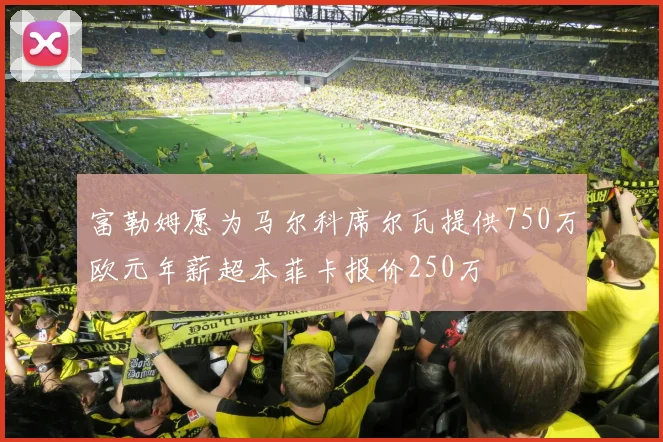 富勒姆愿为马尔科席尔瓦提供750万欧元年薪超本菲卡报价250万